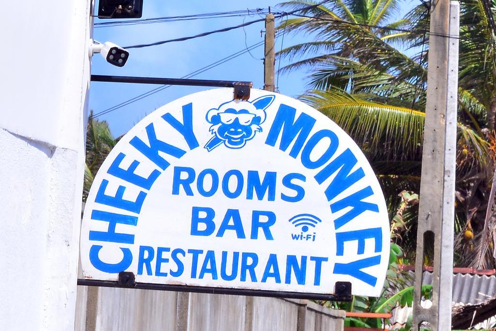 Cheeky Monkey Surf Camp Hotel Weligama Eksteriør billede